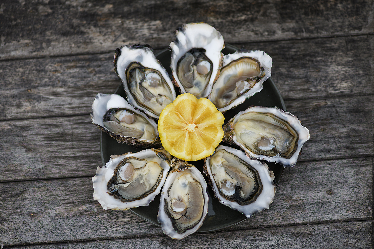 IGP_HuitresNormandie3 &copy; !Conchyliculture Mer du Nord