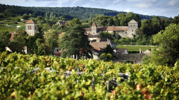 Photographie d'un vignoble de Bourgogne ©BIVB, Michel joly