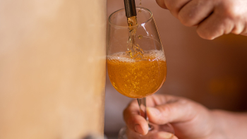 AOP "Cidre du Perche" ©Asgard, Boisard
