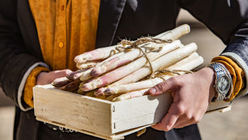 Asperge Label Rouge ©ODG