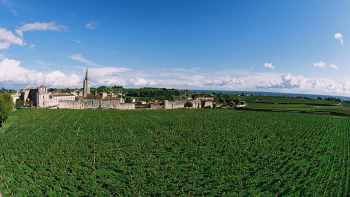Vignoble AOP "Saint-Émilion" ©CIVB