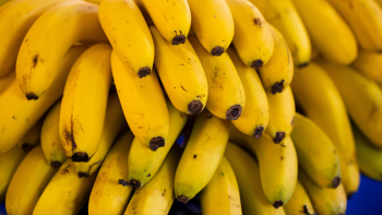 Photographie de bananes