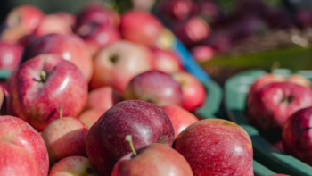 Agriculteur avec des pommes
