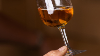 AOP Cidre Perche