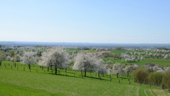 Paysage de printemps