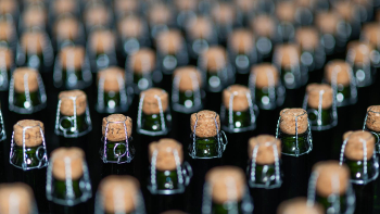 AOP cidre perche JBoisard