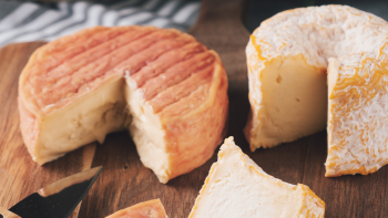 AOP "Époisses" et "Langres" ©O. Russeil