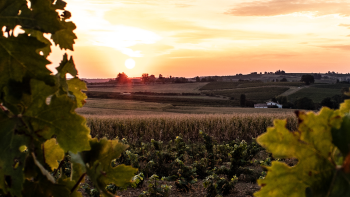 Armagnac Floc de Gascogne ©Qualité Landes