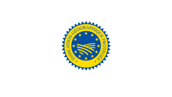 logo IGP