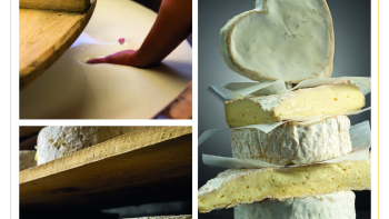 Fromages au lait cru