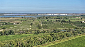 Paysages Sable de Camargue – Syndicat des Vins Sable de Camargue