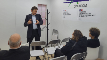 Les filières ultramarines et les SIQO face au changement climatique