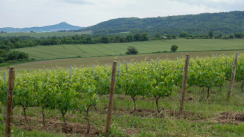 Côte d'Auvergne