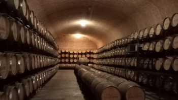 Cave Vino de Querétaro