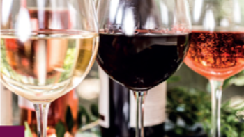 Vins IGP Terre du Midi