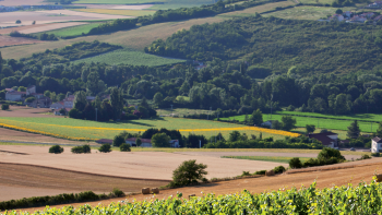IGP "Puy-de-Dôme" ©Pierre Soissons