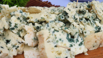 100 ans AOP Roquefort 2