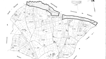 Délimitation parcellaire de l’AOC « Saint-Emilion » sur la commune de Saint-Christophe-des-Bardes, signée par J. Capus (président du CNAO de 1936 à 1947) @INAO