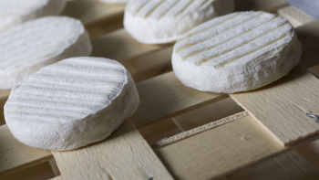 Rocamadour ©Syndicat des Producteurs de Fromages Rocamadour, 2018