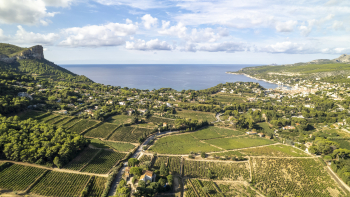 Vignoble de Cassis @Nicolas Tempier / ODG Cassis