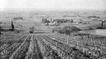 Côte Nord de Monbazillac vue du Château (1937) ©Galerie photo Bondier-Lecat