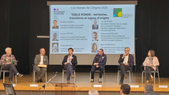 Table ronde lors des Assises de l'origine sur la durabilité