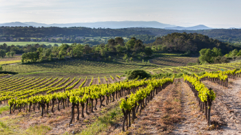 AOP "Duché d'Uzès"