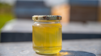 miel_tilleul_picardie