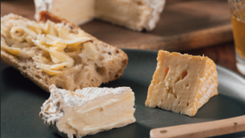 camembert