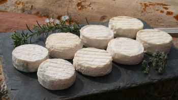 pelardon
