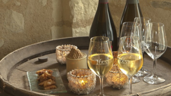vins
