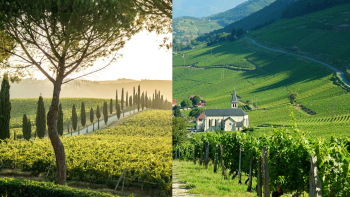 italie france vignoble