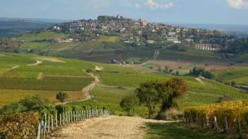 AOP "Sancerre" ©UVS