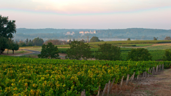 AOP Touraine 1 ©Denis Bomer