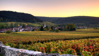 Vignes d'Auxey-Duresses