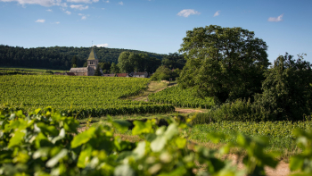 Côtes du Rhône Villages