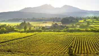 Paysage Vacqueyras
