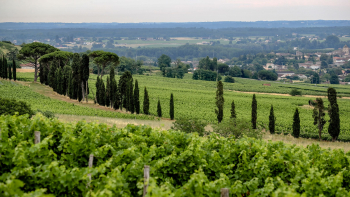 AOP "Crémant de Bordeaux" ©Guillaume Bonnaud
