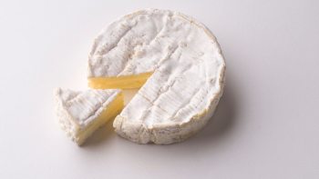 Camembert de Normandie ©Association de Gestion des ODG Laitiers Normands