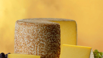 AOP "Cantal ou Fourme de Cantal" ©Comité Interprofessionnel des Fromages produits dans le département du Cantal et de ceux produits dans l’aire géographique de l’appellation d’origine Cantal (CIF)