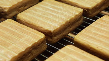 Maroilles sur grille