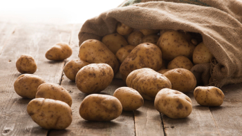 IGP "Pomme de terre de Merville" © G. Lamarque / Comité de promotion - Chambre d'agriculture du Nord Pas-de-Calais