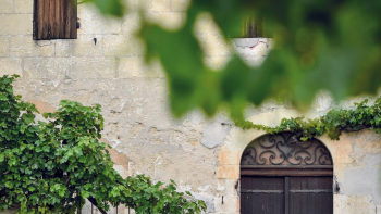 AOC Médoc