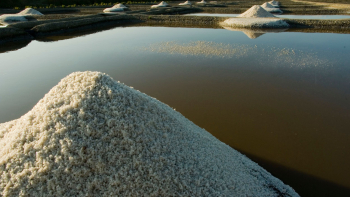 IGP "Sel de Guérande" ou "Fleur de sel de Guérande" © P.Bonnet