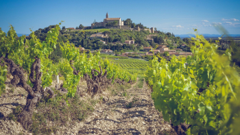 AOP "Cairanne" © Van Son Huynh / Syndicat des vignerons de Cairanne