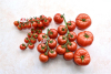 Tomates Label Rouge ©AIFLG
