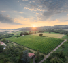 IGP "Lorraine" ©Audrey Krommenacker - Association des Vignerons de Lorraine