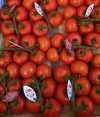 tomates de bouche