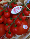 tomates