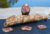 saucisson sec